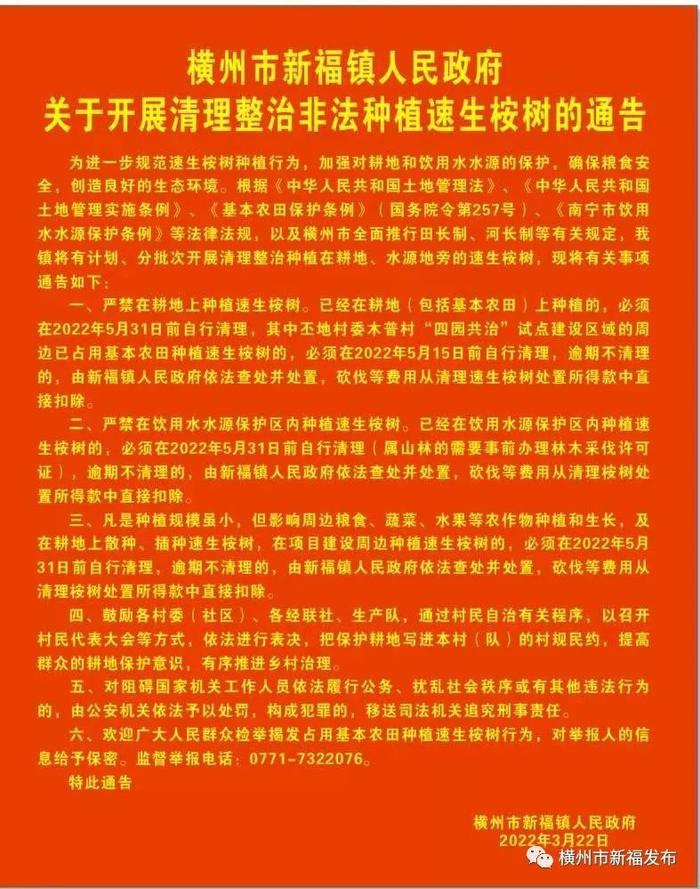 每亩最高补贴1200元，广西一地一年清退桉树超3万亩