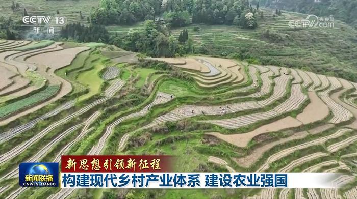 小辣椒走进大市场 央视新闻联播关注贵州乡村产业发展新举措