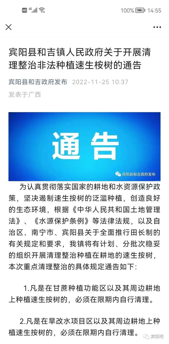 每亩最高补贴1200元，广西一地一年清退桉树超3万亩