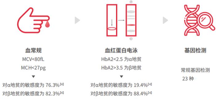 世界地贫日 | 没有药物和成熟的基因治疗方法，这种遗传病要做好婚前孕前筛查