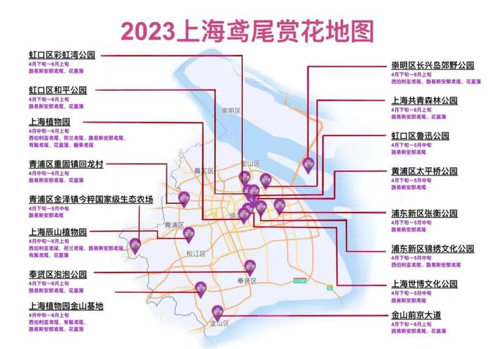 2023上海鸢尾文化节启幕！共青森林公园等你来→（附赏花地图）