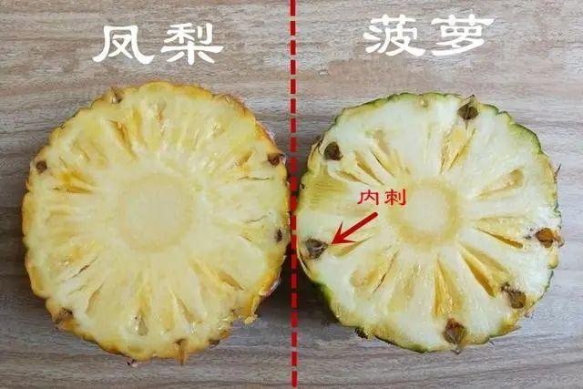 菠萝与凤梨，名字不同所以品种就不同了吗？