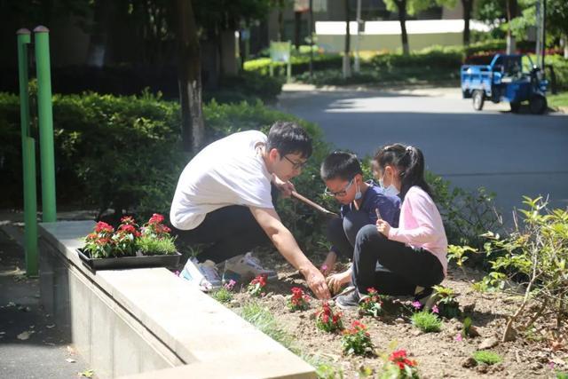 这些孩子竟然在自家小区的花园里挖呀挖呀挖……