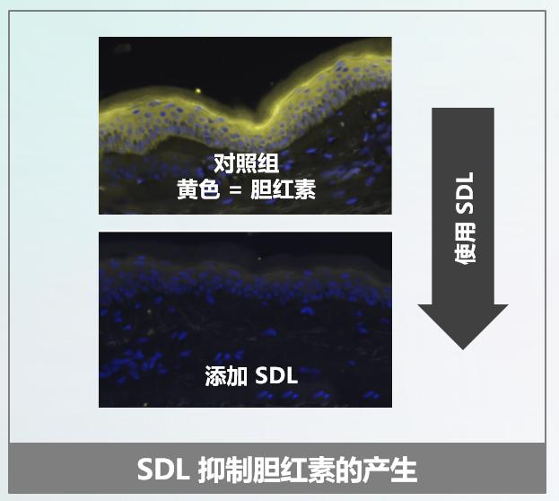 化妆品小知识 | 要想肌肤白皙透亮，你做对了吗？