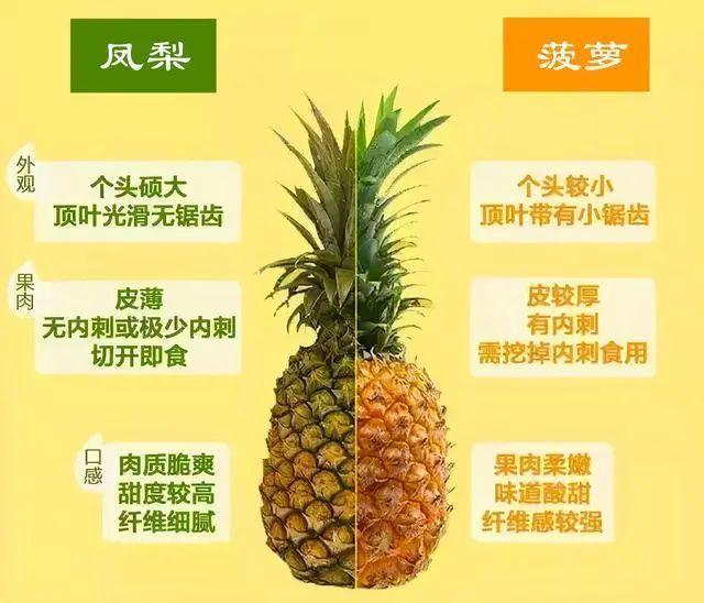 菠萝与凤梨，名字不同所以品种就不同了吗？