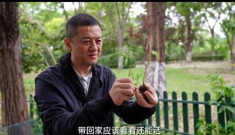 封面深镜｜李亚鹏在自家别墅小院种菜有错吗？律师：物业做法具有事实和法律依据