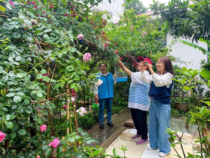 变种菜为种花小区居民自发打造“共享花园”