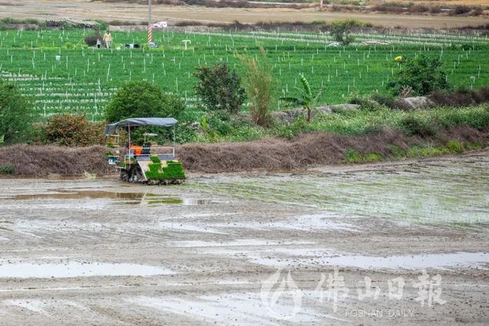 官方最新明确！事关二手房、租房中介费丨佛山早班车