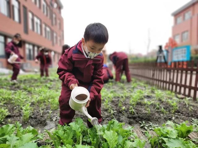 孩子乐意、家长满意的劳动教育，松江这样办→