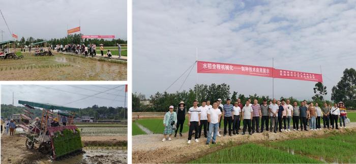 邛崃市开展水稻制种跨区学习交流 开拓制种技术、经营新思路