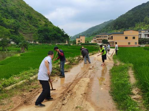 保民生、优产业、助三农──中国人寿财险打好振兴壮乡“组合拳”