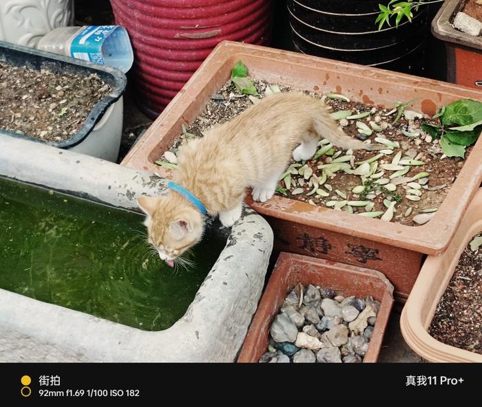 图源:品玩 LU摄