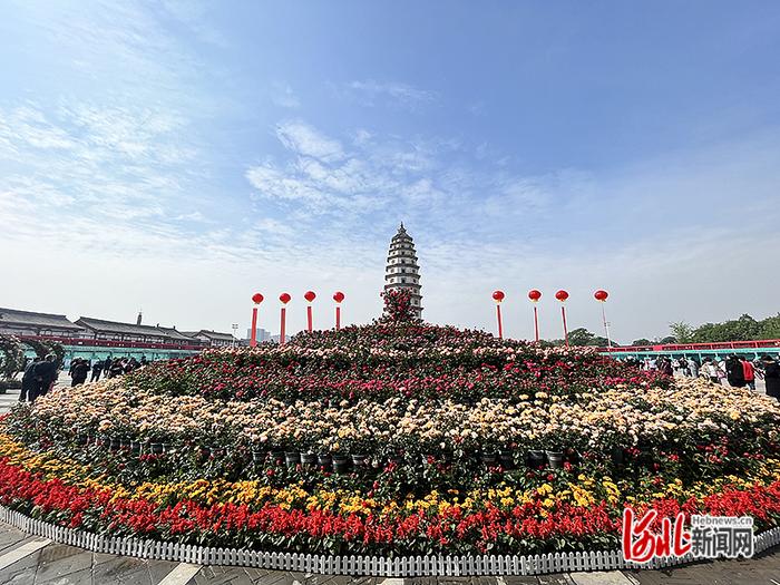 月季成定州市花！定州首届月季文化旅游周开幕