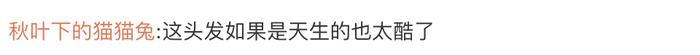 深圳一副区长疑似“挑染”一缕白发？网友热议称不是染的，头发异常变白有这些原因