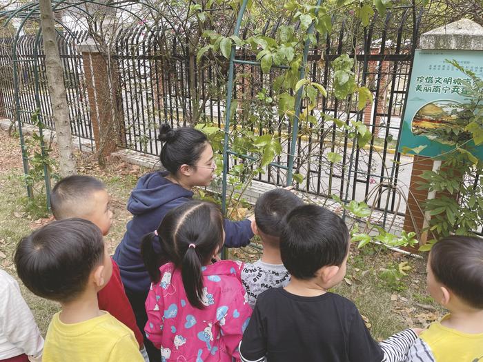 一藤一蔓护生态  共谱“绿旗”新篇章