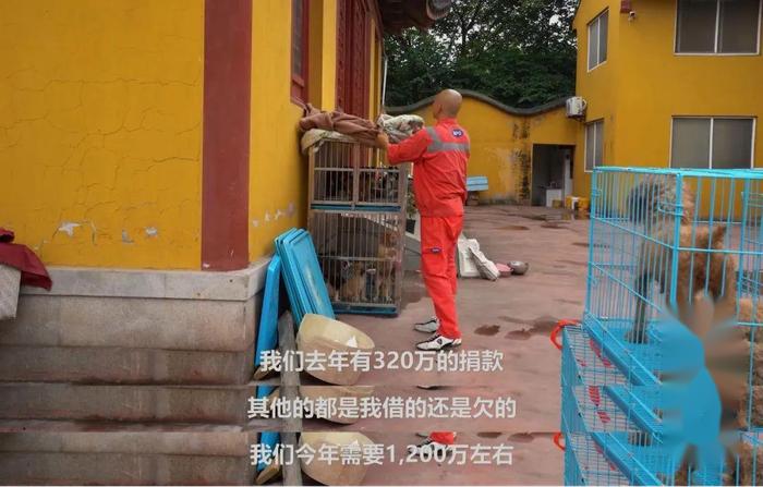 不打坐不念经，欠下150万外债……这个不务正业的和尚，用近30年时间，救了5000多条命