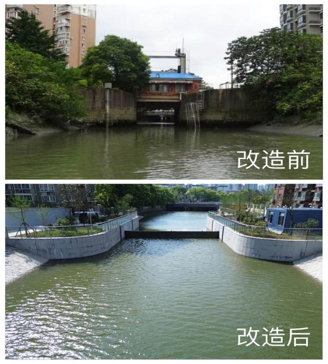 水质更清澈！杨浦这处水闸提升功能再“上岗”