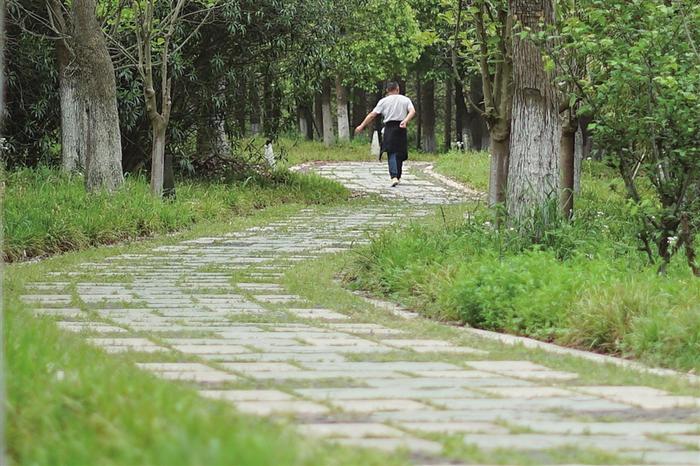 桃源本有路 心远地自偏