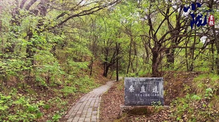 【小陇画报·189期】罗川古城载千年历史 子午烟雨映诗画正宁