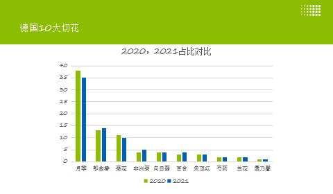 疫情以来德国园艺市场呈现五大新潮流，至少有一个你想不到！