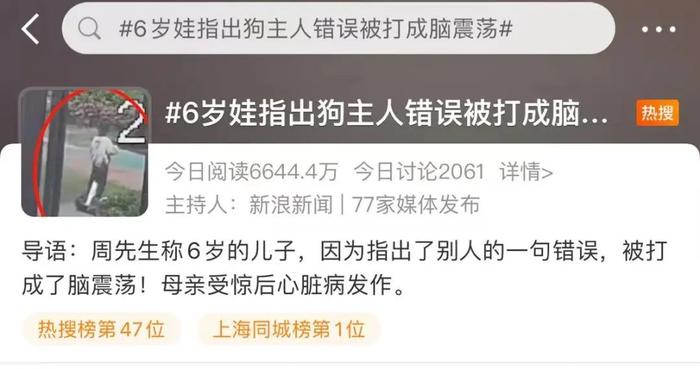 路遇不文明遛狗，6岁男童指出错误反被打？最新消息......