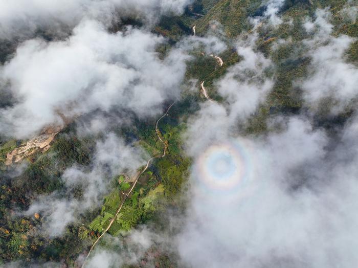 最迟明年，峨眉山景区不再“一条独路上山”！