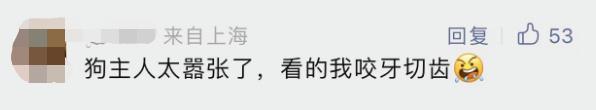 6 岁男童被打成脑震荡最新后续：遛狗打人者已被采取刑事强制措施