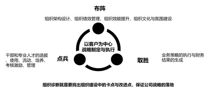 组织诊断包含哪五项具体内容？