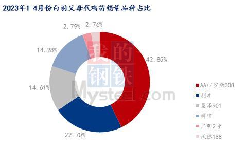 Mysteel解读：独家系列更新！白羽父母代销量价格详解及后续预测