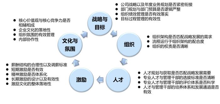 组织诊断包含哪五项具体内容？