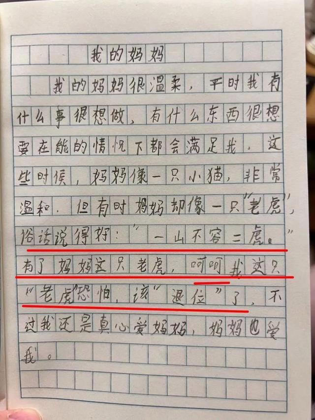 《我的妈妈》作文大赏