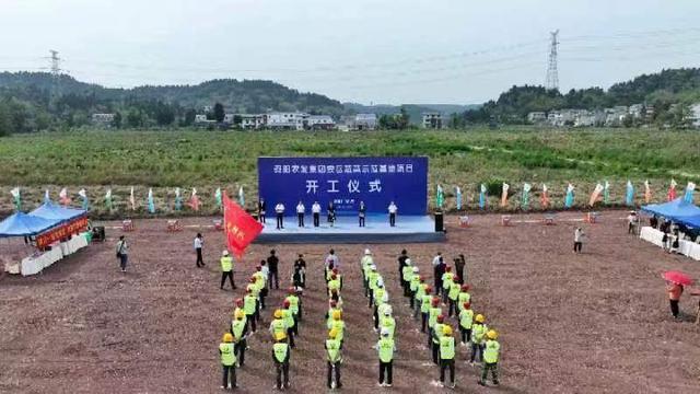 丰富成德眉资的“菜篮子” 四川安岳投资5000万元建设蔬菜示范基地