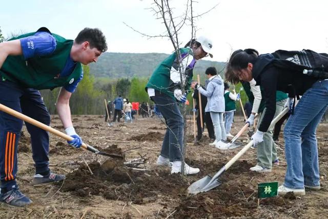 东北林业大学：林地间上好育人课