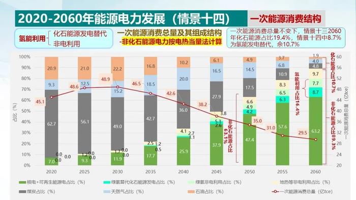 中国电科院 周孝信：双碳目标下我国能源电力系统发展前景分析