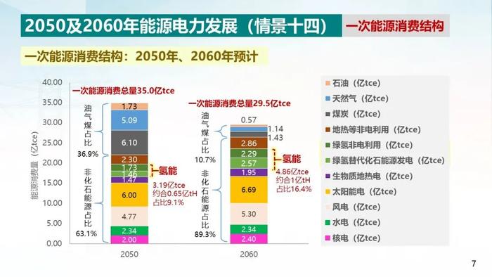 中国电科院 周孝信：双碳目标下我国能源电力系统发展前景分析