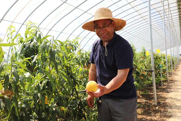 江苏徐州：打造水蜜桃的“甜蜜”产业链 让村民日子越过越甜