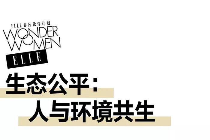 与野生大熊猫最亲近的人，30多年来做了这些事