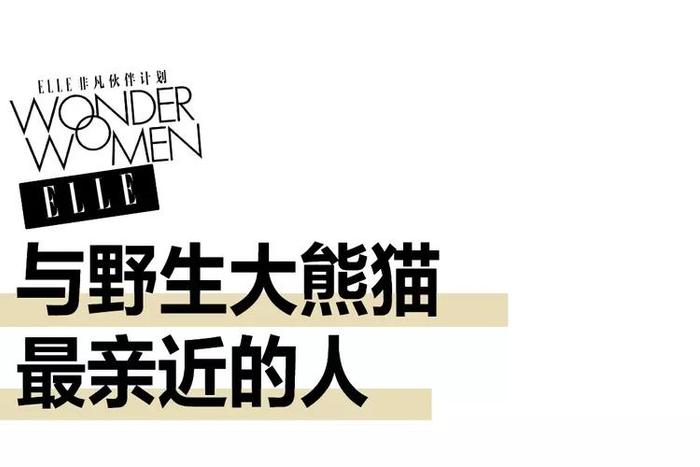 与野生大熊猫最亲近的人，30多年来做了这些事