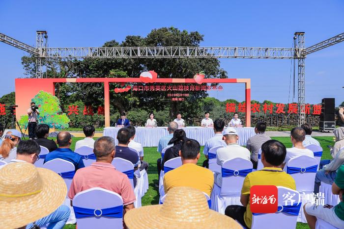 今年海口秀英火山荔枝预计产量3000万斤 首批熟果预计5月25日上市