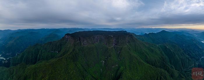 看雪山、赏杜鹃、珙桐花  初夏的瓦屋山风景独美