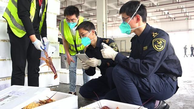 持续提升贸易便利化水平！浦东机场海关实行24小时服务，保障鲜活农产品通关