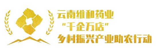 维和药业携手重庆大参林万家燕大药房：2023产业助农行动再推新举措