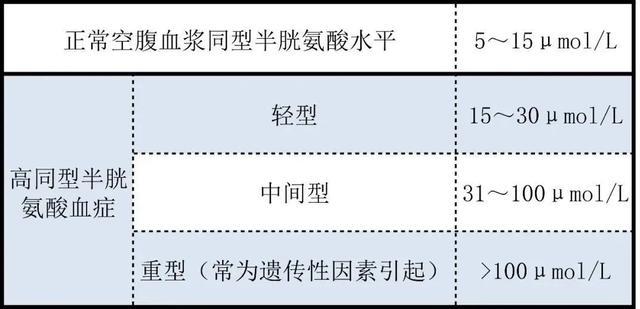 “同型半胱氨酸”是个什么指标？