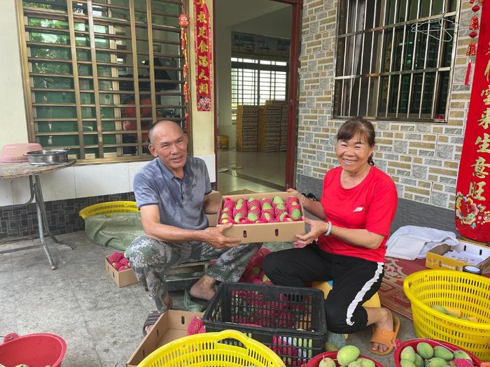 海南昌江白石村：多元产业齐发展 ，让村民“腰包”鼓起来