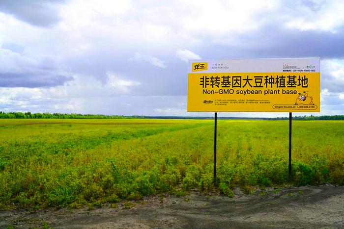 龙王豆浆，一个“老号”豆浆粉企业的黑土赤子梦