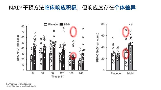 中科院&觅能首创“NAD+亚细胞时空分布”技术革新不逊爆火ChatGPT