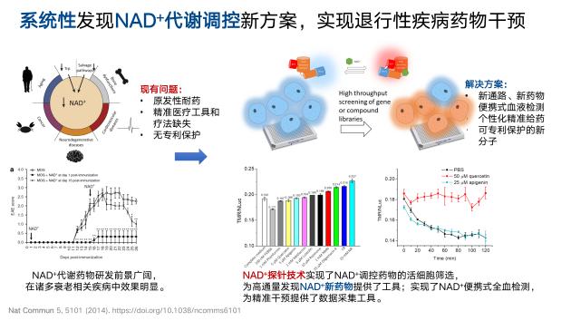 中科院&觅能首创“NAD+亚细胞时空分布”技术革新不逊爆火ChatGPT