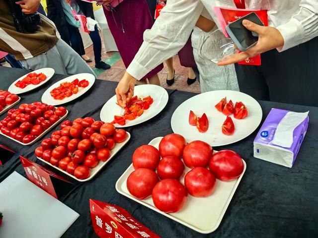 地产番茄，哪个品种最好吃？
