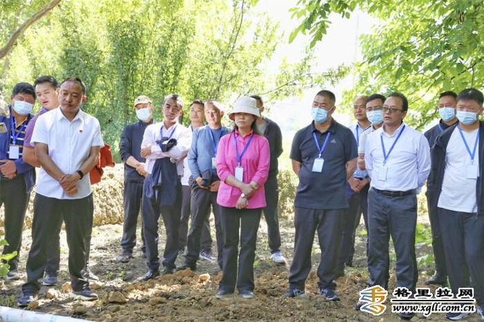 全州农村人居环境整治现场推进会暨农业农村经济运行形势分析会议召开