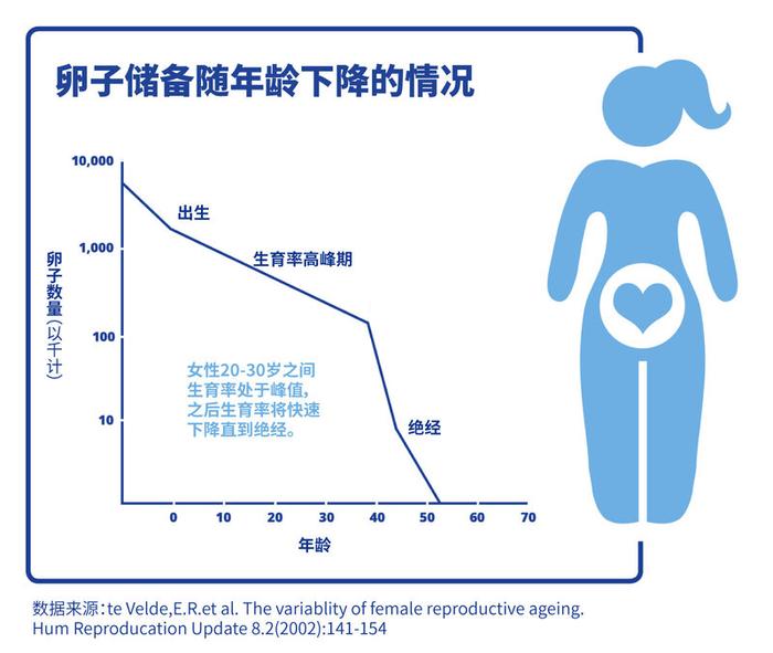 疫情后女性冻卵需求上升！是害怕错过生育年龄还是……